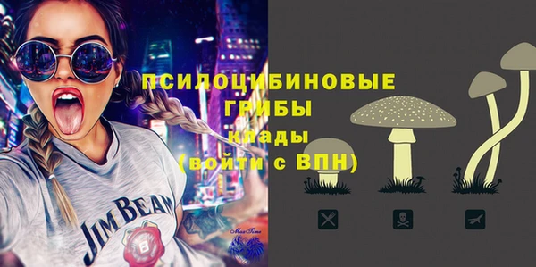 apvp Верхний Тагил