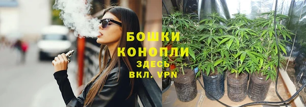 Альфа ПВП Верея