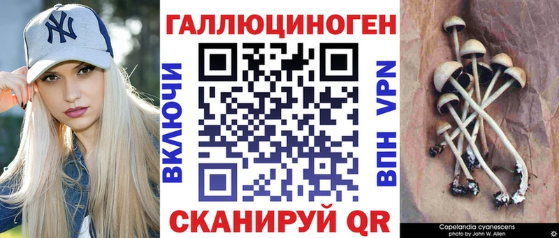 МЕГА рабочий сайт  купить закладку  Бугуруслан  Псилоцибиновые грибы Cubensis 