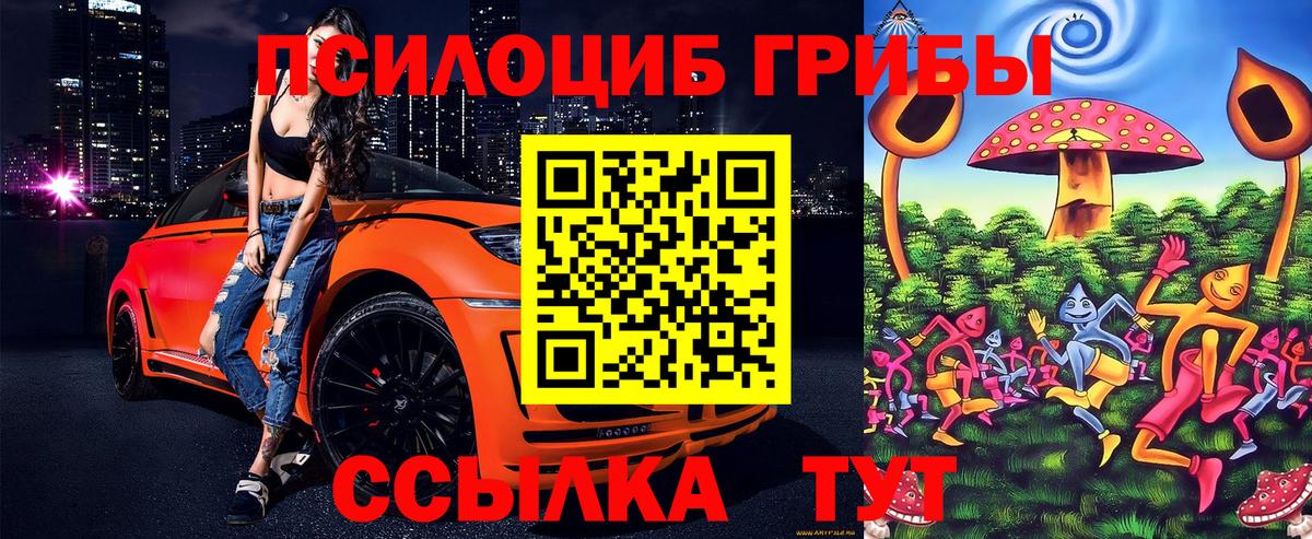 сколько стоит  Галлюциногенные грибы мухоморы  Вход с VPN  Бугуруслан  Галлюциногенные грибы Psilocybe 
