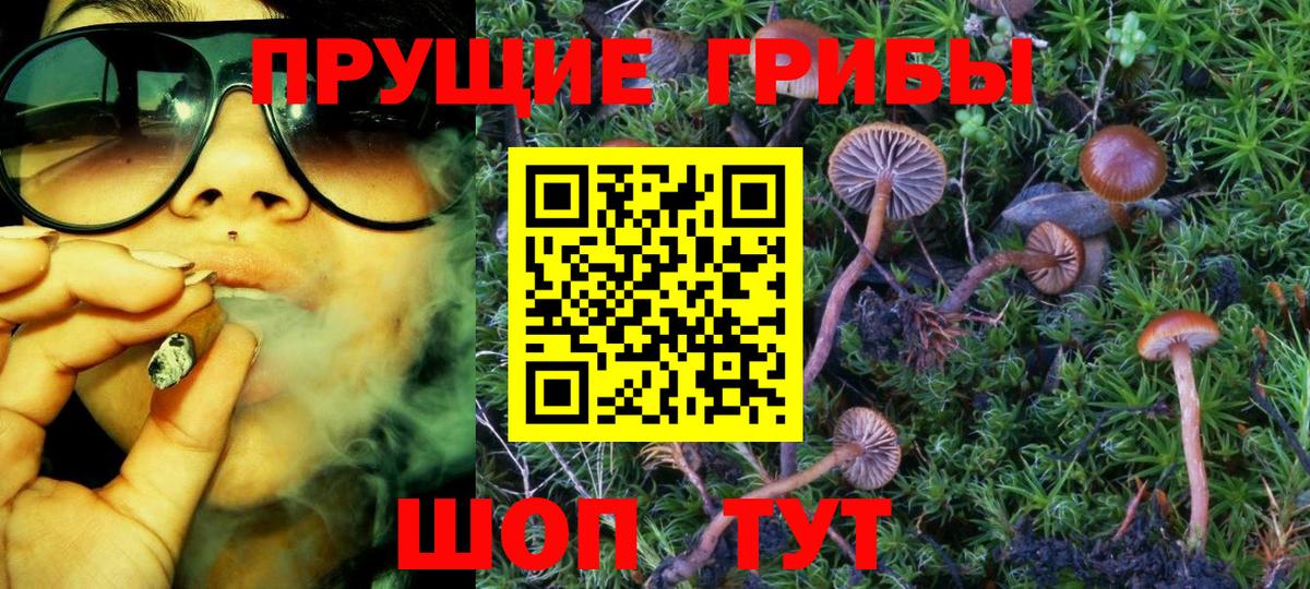 где найти   Бугуруслан  Галлюциногенные грибы ЛСД 