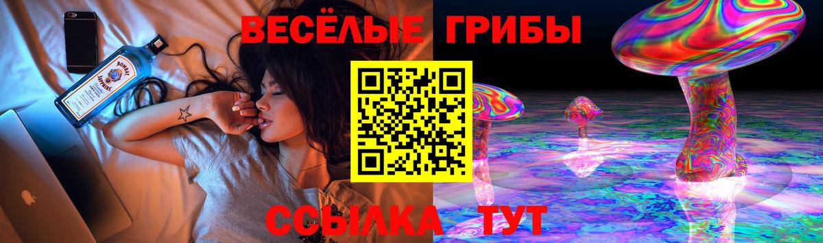 Псилоцибиновые грибы ЛСД Бугуруслан